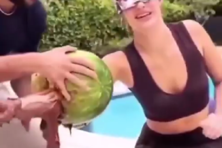 Broma Pesada: Mujer Cree Haber Metido el Brazo en el Trasero de un Burro y su Reacción se Vuelve Viral